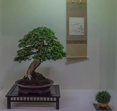 f9325d c3d65ac4384d4829897c9b694f562b61